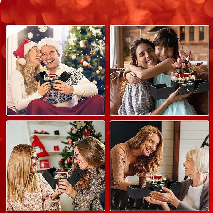 Preserved Rose Jewelry Gift Box